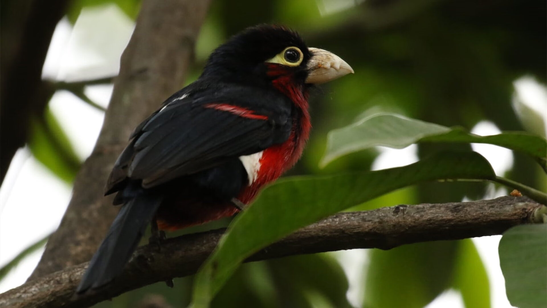 kaiyun官方网站-《青年电竞明星：未来之星大放异彩》，电竞年轻人