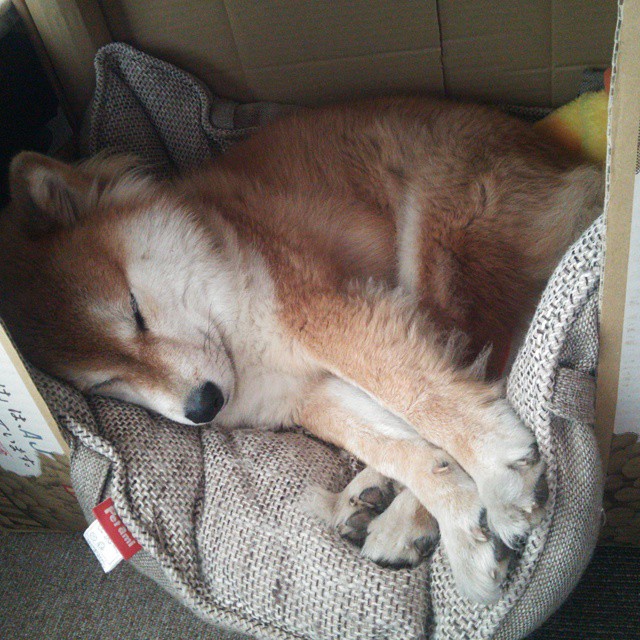 开云·体育官网-传奇“反击大师”如何让对手胆寒?,传奇反伤boss怎么打