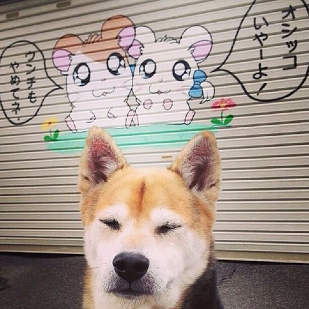 kaiyun官方入口登录-从落后到逆转:冠军争夺激烈对战瞬间,从落后到反超激励