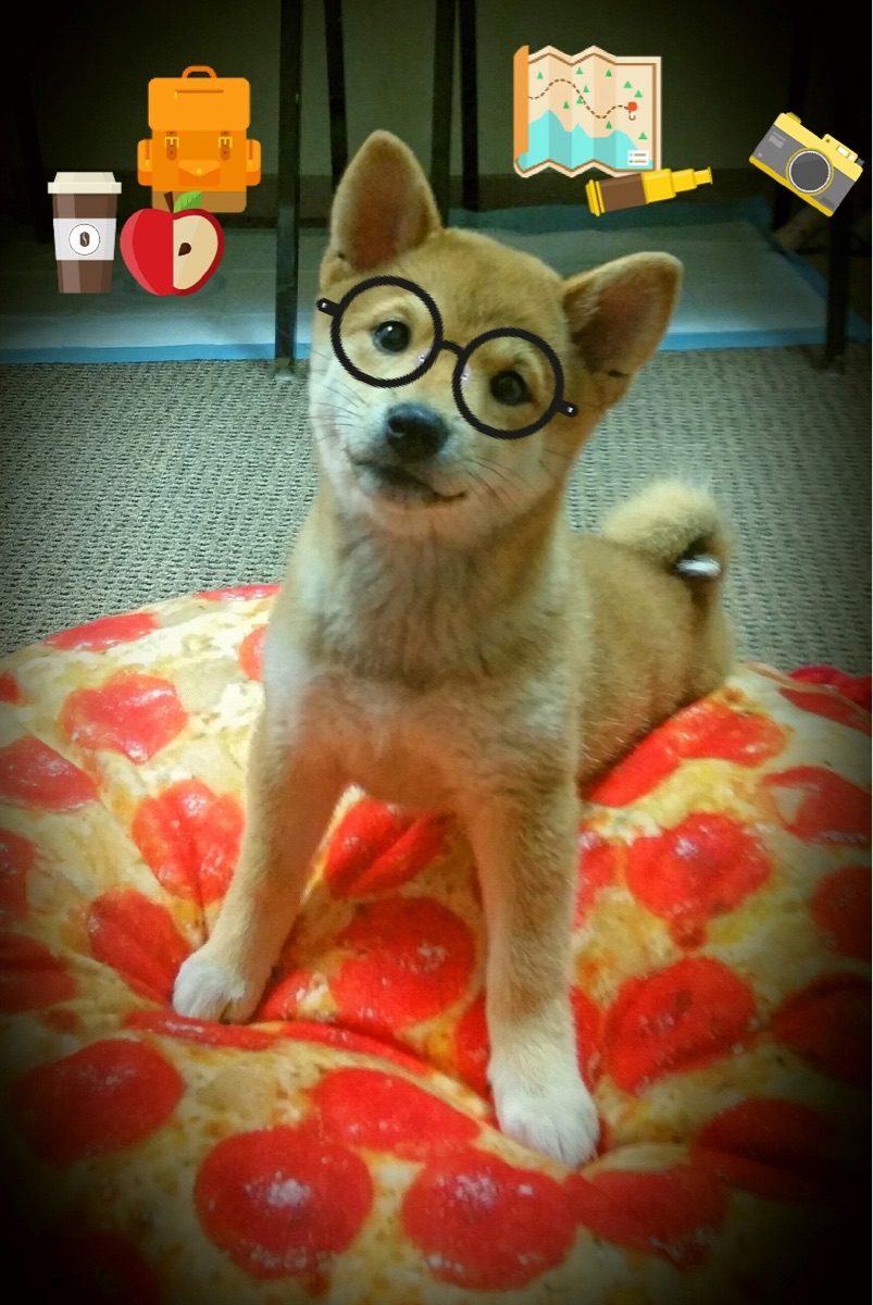 开云·Kaiyun网页版-亚特兰大客场击败那不勒斯,齐尔斯基制胜入球,亚特兰大对战拉齐奥