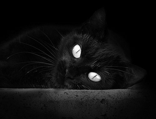 开云kaiyun-土耳其惨遭爱尔兰反超,晋级前景蒙上阴影,土耳其ihh