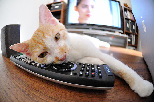 开云官方网站-国足在国际比赛中的球员选拔机制分析，国足选拨名单公布