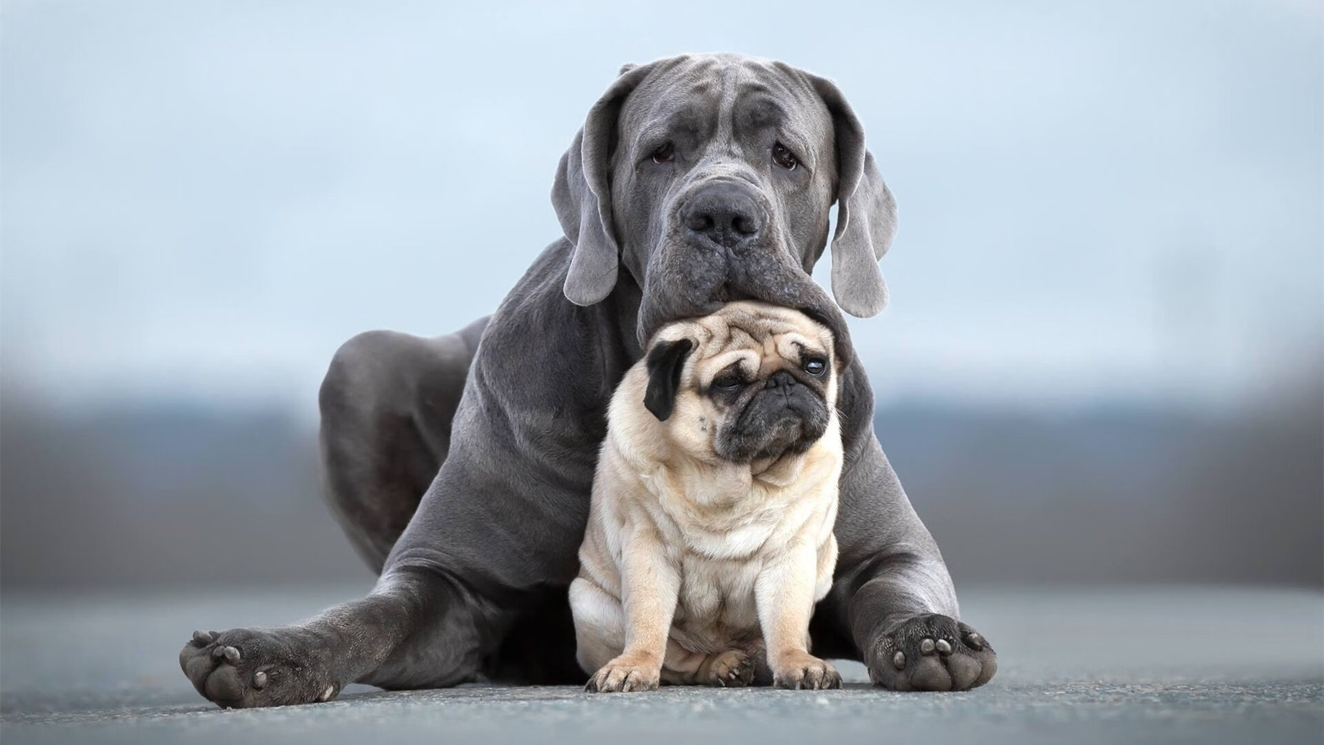 Kaiyun APP-德国强势挑战塞尔维亚:胜利在望,德国与塞尔维亚