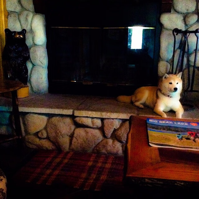 KAIYUN 中国大陆-爵士防守回归击退尼克斯，爵士逆转尼克斯豪取9连胜 新闻