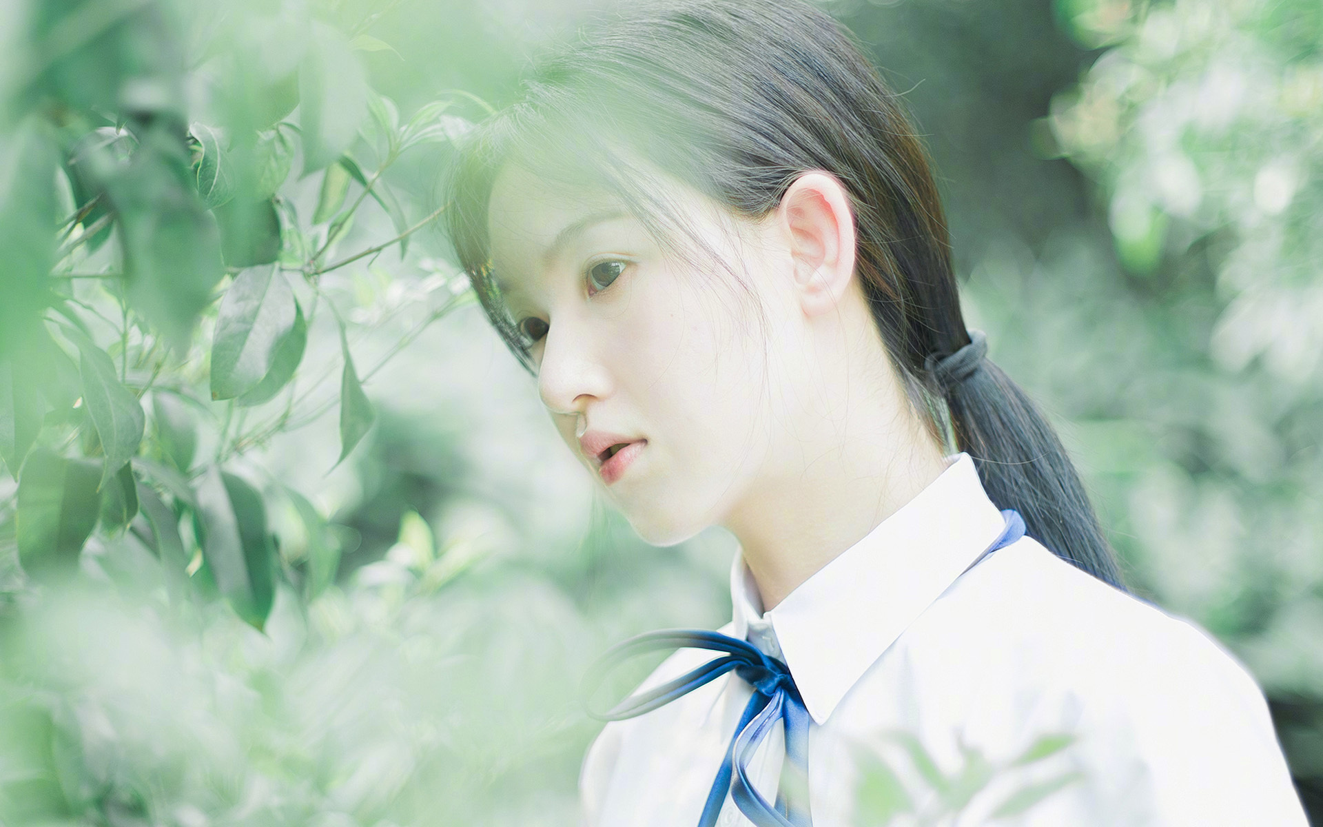 开云中国-焦点橄榄球联赛全明星阵容亮相