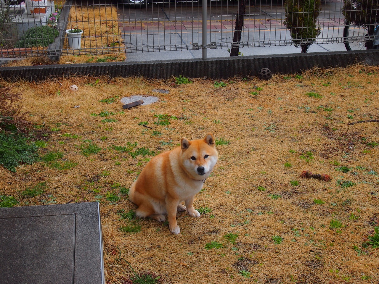 Kaiyun官方登录入口-热刺将在主场迎战谢周三,实力对比引人关注,热刺谢菲尔德联视频直播