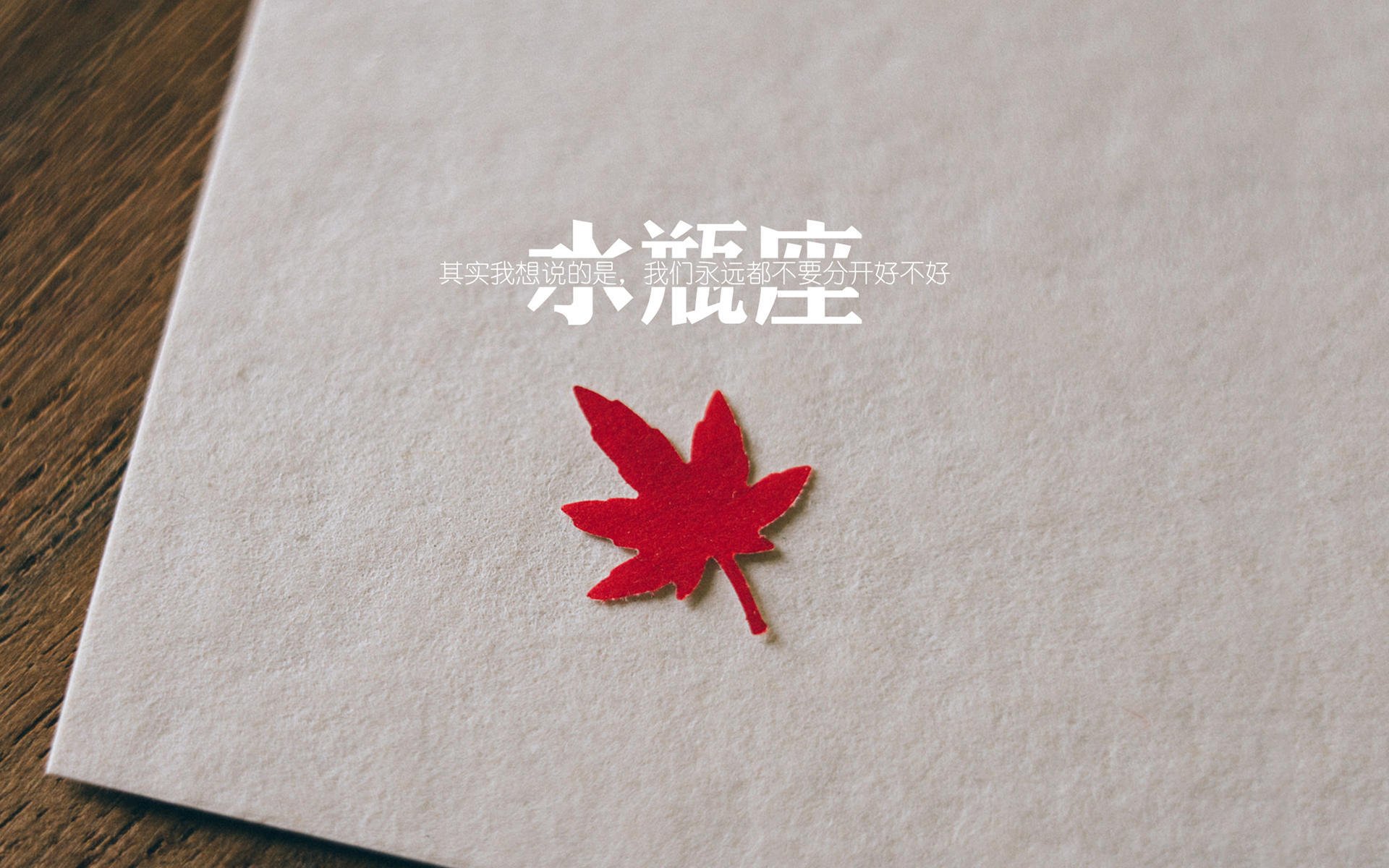 开云中国大陆-西雅图海湾人与欧洲俱乐部达成友谊赛协议，西雅图海湾人足球俱乐部