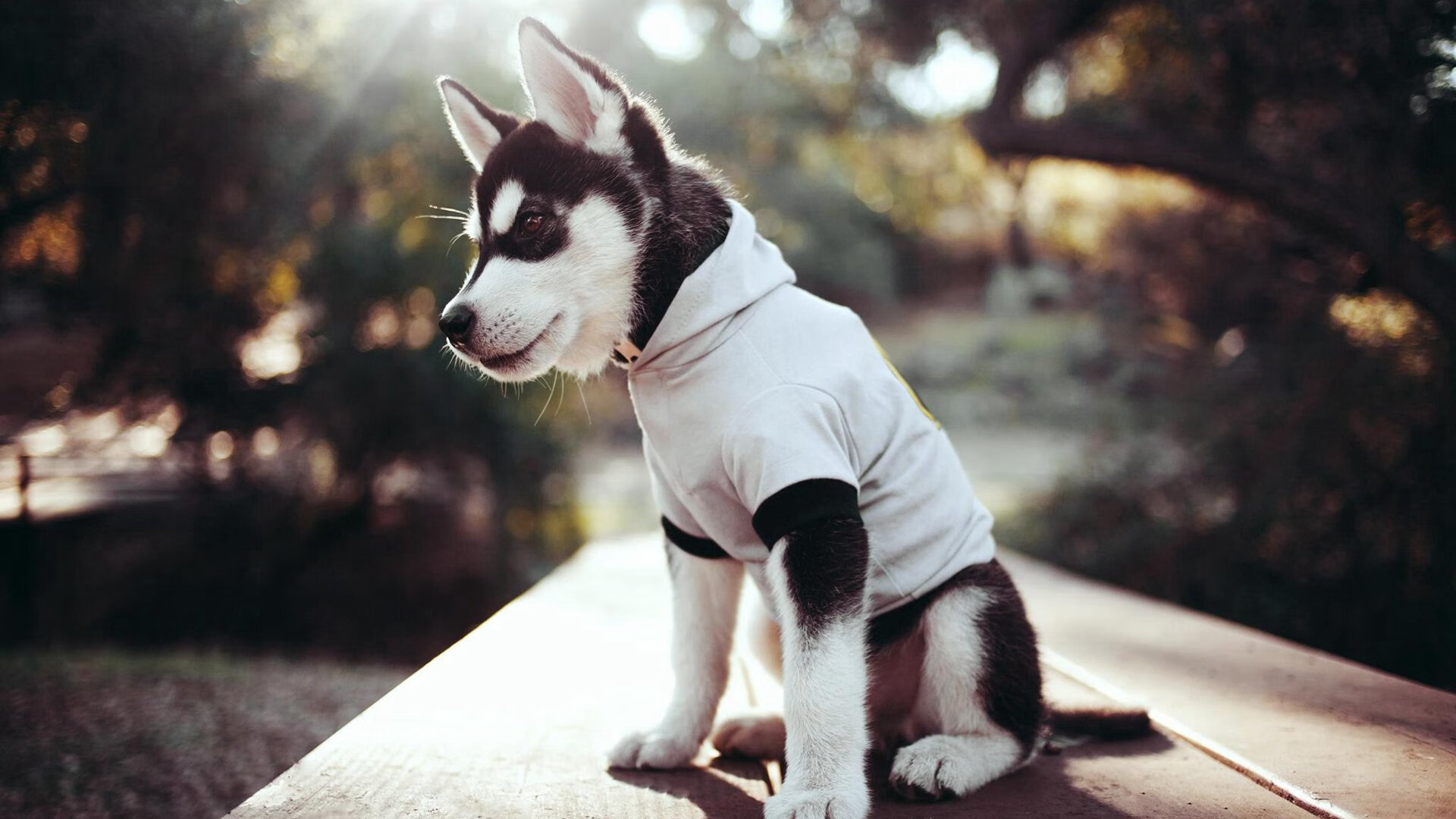 kaiyun官方入口登录-阿森纳后防梦魇持续，英超保级形势堪忧，2021英超阿森纳