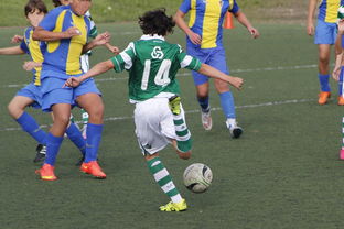 开云kaiyun-中国足球高密度传控战术回合成功统计，中国足球高密度传控战术回合成功统计