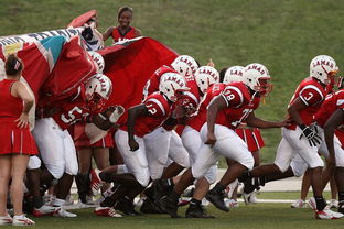 kaiyun中国官方网站-全国青少年攀岩锦标赛顺利举办,攀岩青少年标准赛道