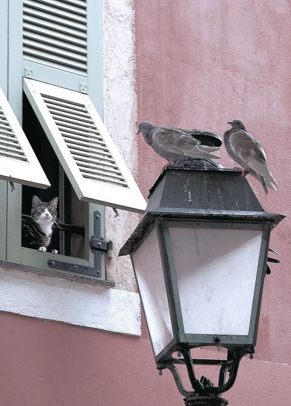 kaiyun中国官方网站-全国青少年滑水比赛激烈奋战,激情无限,全国滑水锦标赛2020