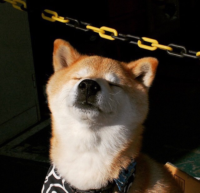 kaiyun.com-国足传球节奏与失误分布关系，足球传球出现的错误