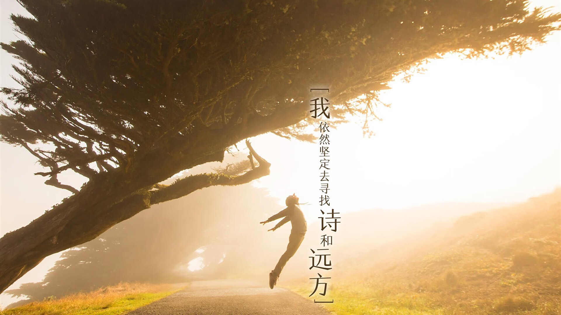 开云网页版登录入口-意甲球员赛后心率变异性监测指导训练恢复方案,心率变异性分析时域正常范围