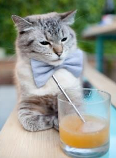 开云平台-篮球专项体能训练课程体系设计,篮球专项体能训练方案