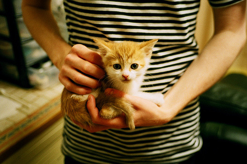 KAIYUN 中国大陆-国际热身赛中国青年队战败 球迷呼吁心理辅导，国家队热身赛