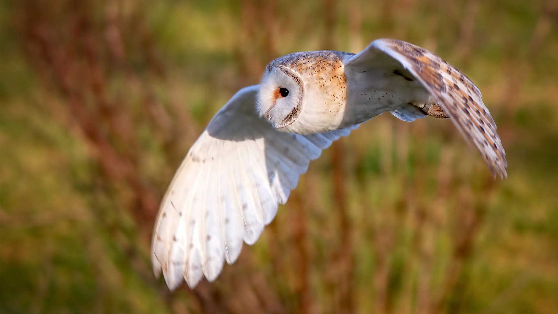 开云官方-大数据技术助力运动训练科学化,基于大数据的训练系统