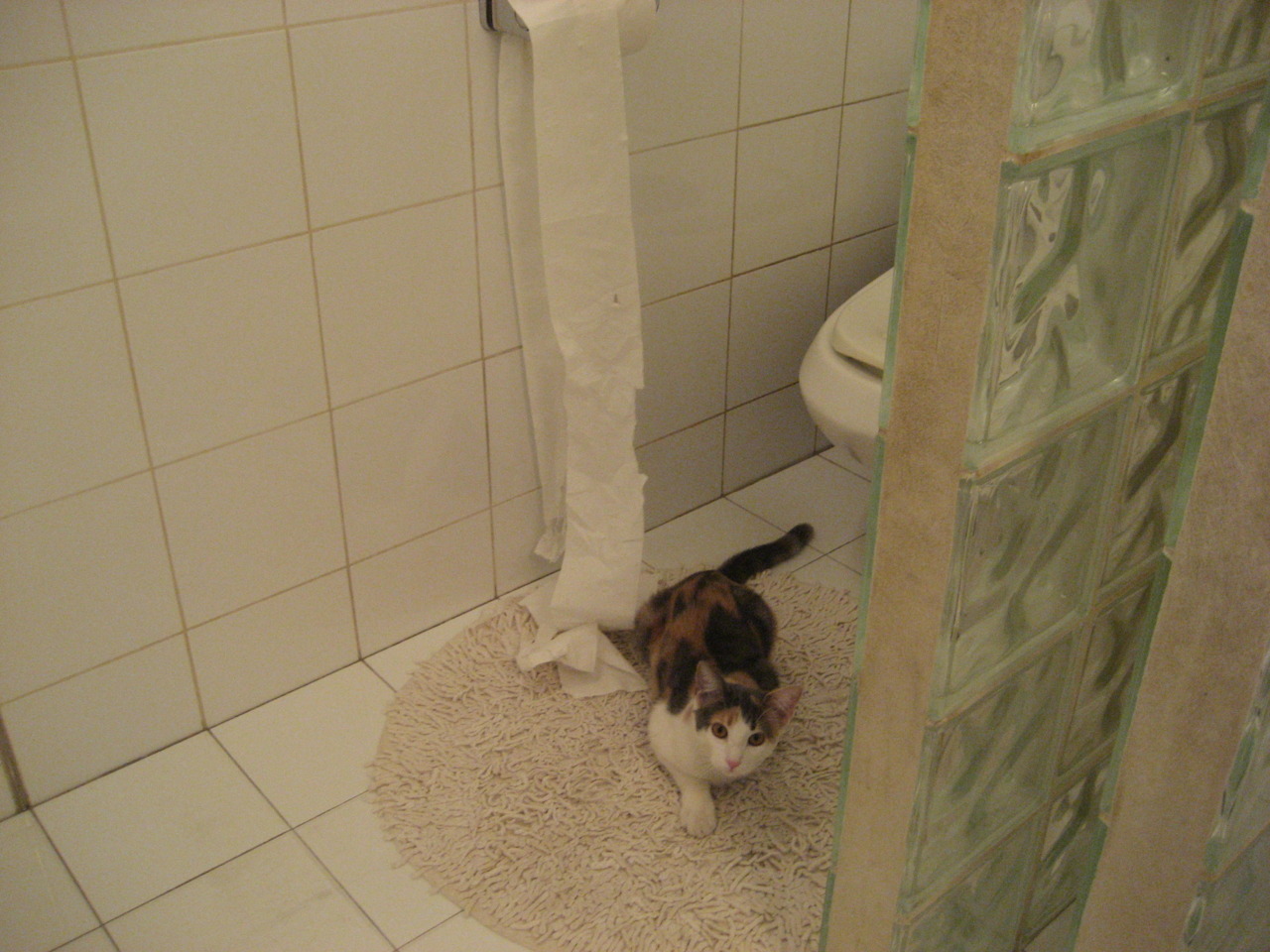 开云网页版-足球专项科研成果未被有效转化