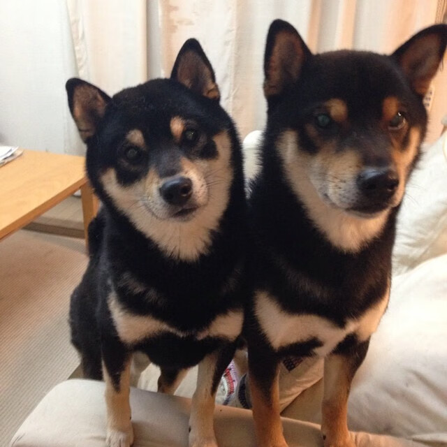 开云体育APP下载-哥伦比亚球队在美洲杯中崭露头角