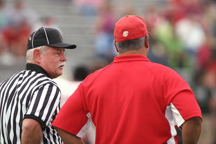 kaiyun开云·官方网站-国际裁判大会讨论引入更多视频回放标准,2021国际裁判