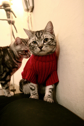 开云体育-艾比·德尔福：以强硬防守和精准传球稳固南非队后场，艾比利德尔